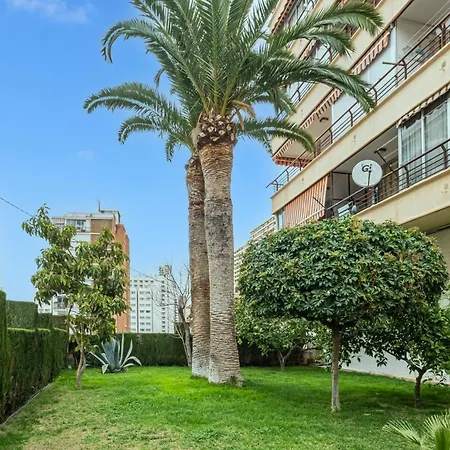 Piscis 10-8 Levante *